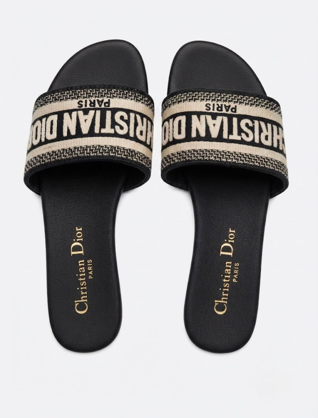 CHRISTIAN DIOR LOGO SLIDES