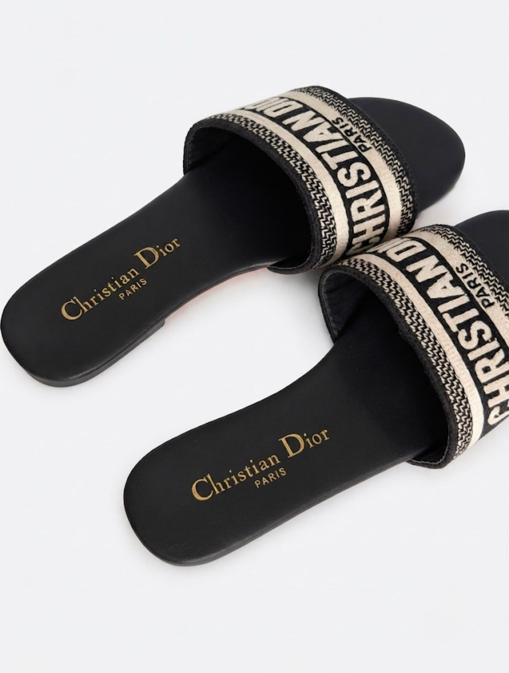 CHRISTIAN DIOR LOGO SLIDES