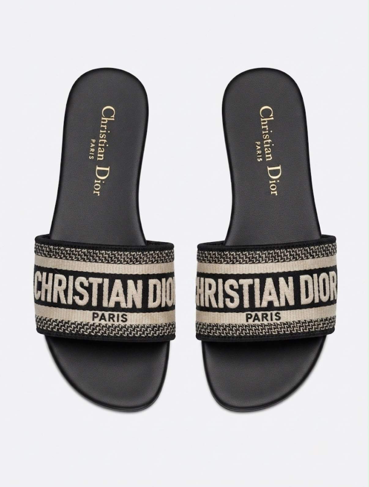 CHRISTIAN DIOR LOGO SLIDES